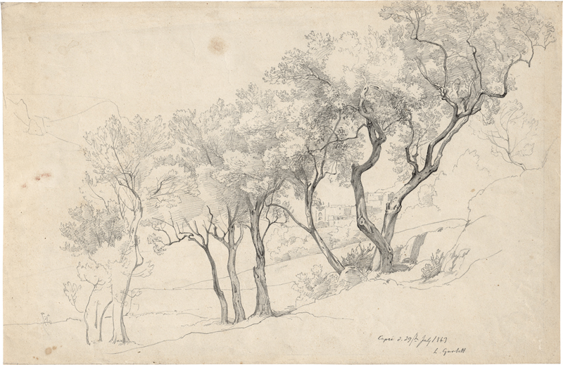 Lot 6657, Auction  127, Gurlitt, Louis, Olivenhain auf Capri
