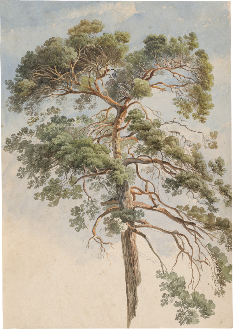 Lot 6670, Auction  127, Frommel, Carl Ludwig, Baumstudie