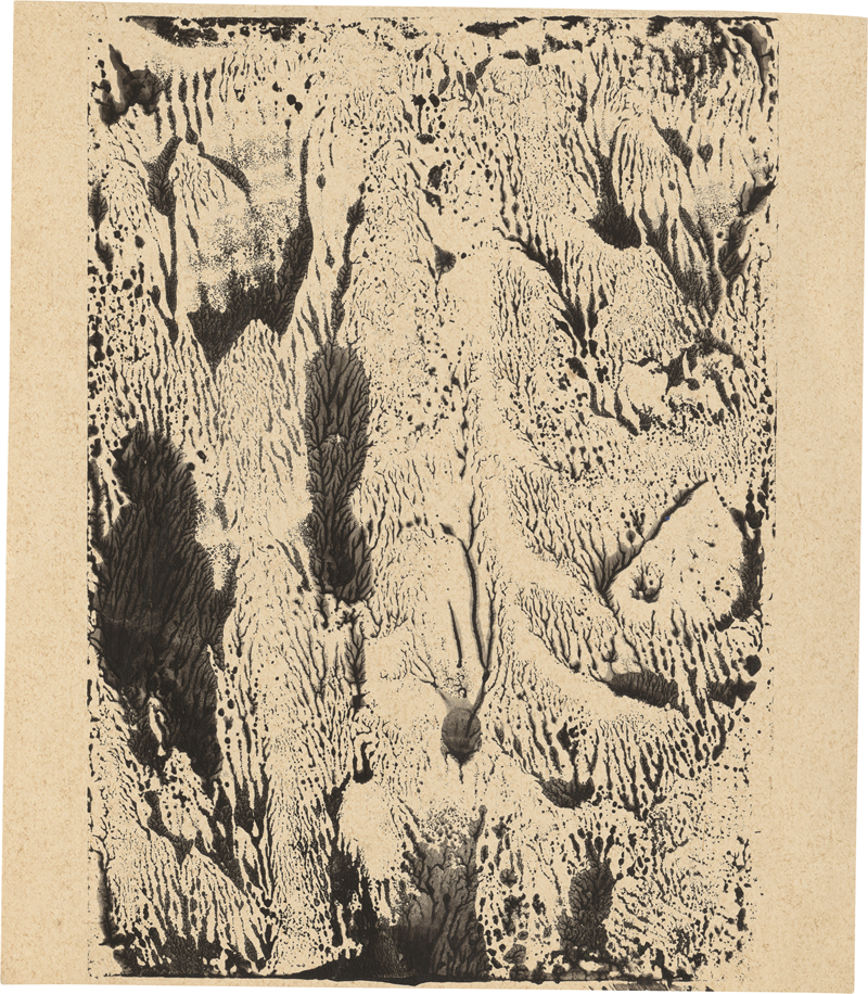 Lot 6719, Auction  127, Schulda, Carl, Korallen