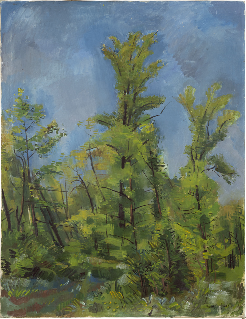 Lot 7139, Auction  127, Jacobi, Rudolf, Waldlandschaft