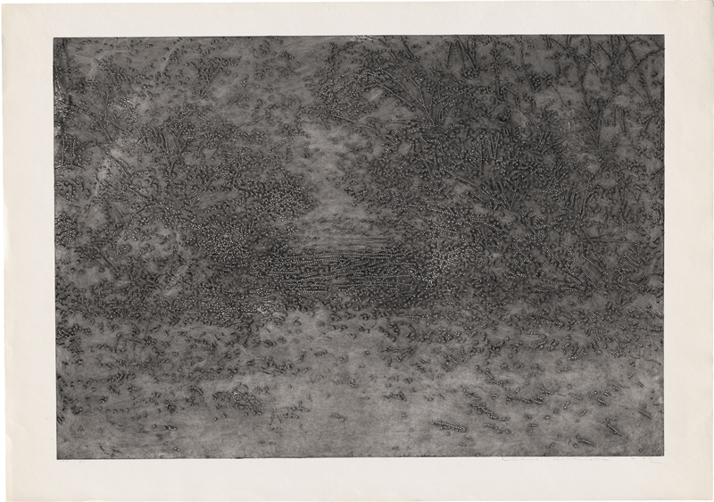 Lot 7223, Auction 127, Kučerová, Alena, Ohne Titel (Waldwiese)