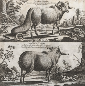Lot 22, Auction  128, Ludolf, Hiob, Historia Aethiopica