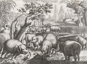 Los 22 - Ludolf, Hiob - Historia Aethiopica - 1 - thumb