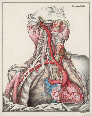 Lot 203, Auction  128, Bierkowski, Ludwig Joseph von, Anatomisch-chirurgische Abbildungen nebst Darstellungen ud Beschreibungen