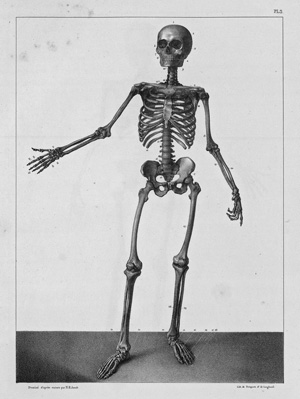 Lot 204, Auction  128, Bourgery, Jean Marc, Traité complet de l'anatomie de l'homme