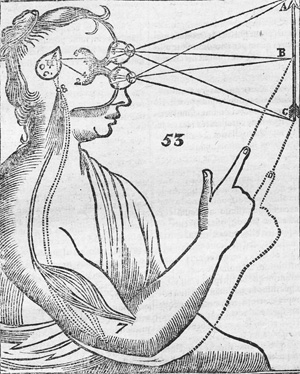 Lot 207, Auction  128, Descartes, René, Tractatus de homine et de formatione foetus