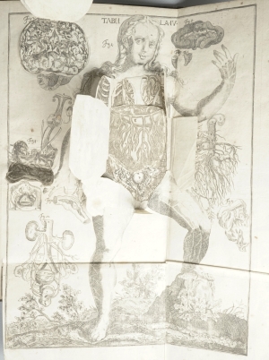 Los 219 - Hellwig, Christoph von - Anatomicum vivum Frankfurt und Leipzig, Hieronymus Philipp Ritschel, (1720).  - 9 - thumb