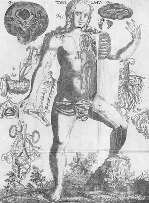 Lot 219, Auction  128, Hellwig, Christoph von, Anatomicum vivum Frankfurt und Leipzig, Hieronymus Philipp Ritschel, (1720). 