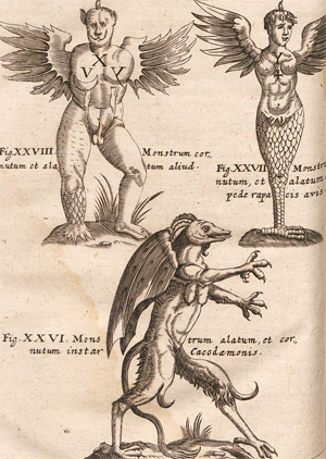 Lot 236, Auction  128, Schott, Gaspari P., Physica Curiosa sive mirabilia naturae et artis libris XII comprehensa