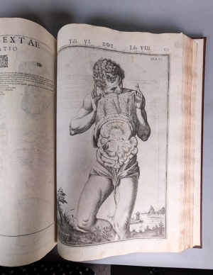Los 238 - Spiegel, Adriaan van de - De humani corporis fabrica libri decem - 10 - thumb