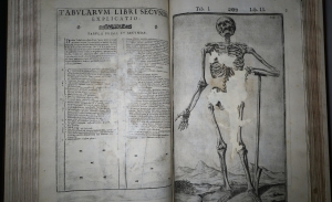 Los 238 - Spiegel, Adriaan van de - De humani corporis fabrica libri decem - 11 - thumb