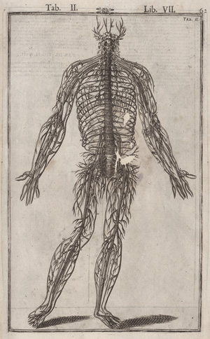 Lot 238, Auction  128, Spiegel, Adriaan van de, De humani corporis fabrica libri decem