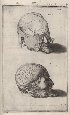 Los 238 - Spiegel, Adriaan van de - De humani corporis fabrica libri decem - 1 - thumb
