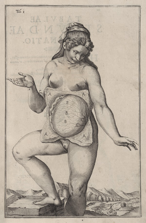 Los 238 - Spiegel, Adriaan van de - De humani corporis fabrica libri decem - 2 - thumb
