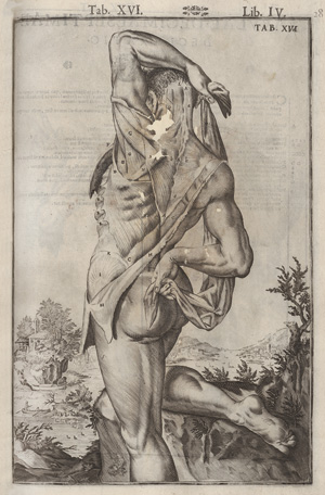 Los 238 - Spiegel, Adriaan van de - De humani corporis fabrica libri decem - 3 - thumb