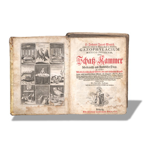 Lot 249, Auction  128, Woyt, Johann Jacob, Gazophylacium medico-physicum, Oder Schatz-Kammer Medicinisch- und Natürlicher Dinge