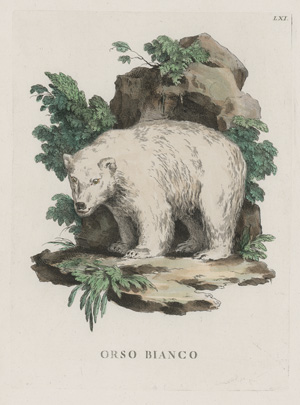Los 278 - Allessandri, Innocente - Animali quadrupedi, 4 Bände, Venedig 1771.  - 5 - thumb