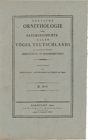 Los 281 - Borckhausen, Moritz Balthasar - Teutsche Ornithologie - 9 - thumb