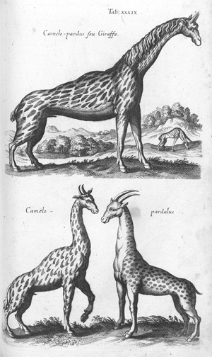 Lot 286, Auction  128, Decker, Johann Mathias, Naturgeschichte aus den besten Schriftstellern mit Merianischen Kupfern