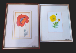 Los 298 - Mohnblumen - Konvolut von 4 kolorierten Kupferstichen, 3 (1 wiederholt) kolorierten Holschnitten, 1 kolorierte Lithographie und 1 farbige Abbildung mit Mohnblüten - 1 - thumb