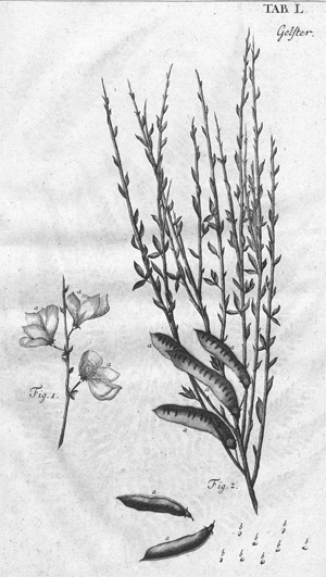 Lot 308, Auction  128, Cramer, Johann Andreas, Anleitung zum Forst-Wesen