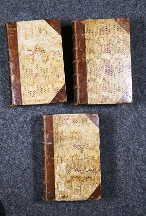 Los 407 - Biedermann, Johann Gottfried - Geschlechtsregister des hochadeligen Patriciats zu Nürnberg - 10 - thumb