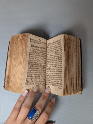 Los 428 - Praetorius, Johann - Daemonologia Rubinzalii Silesii - 7 - thumb