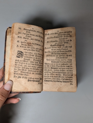 Los 428 - Praetorius, Johann - Daemonologia Rubinzalii Silesii - 9 - thumb