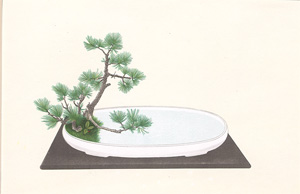 Lot 553, Auction  128, Botanische Illustrationen, 3 japanische Farbholzschnitte 