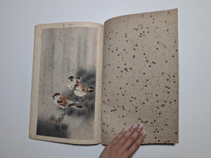 Los 574 - Ohara, Koson - Album mit 12 Farbholzschnitten mit Darstellungen von Flora und Fauna (vorwiegend Vögel) - 6 - thumb