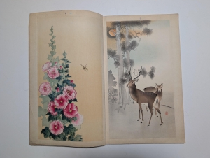 Los 574 - Ohara, Koson - Album mit 12 Farbholzschnitten mit Darstellungen von Flora und Fauna (vorwiegend Vögel) - 9 - thumb