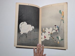 Los 574 - Ohara, Koson - Album mit 12 Farbholzschnitten mit Darstellungen von Flora und Fauna (vorwiegend Vögel) - 10 - thumb