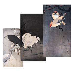 Los 574 - Ohara, Koson - Album mit 12 Farbholzschnitten mit Darstellungen von Flora und Fauna (vorwiegend Vögel) - 1 - thumb