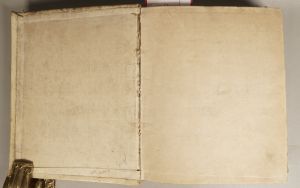 Los 1015 - Johann Egolff von Knöringen und Augsburg - Erbschaftsurkunde, das Stift zu Edelstetten betreffend. Deutsche Handschrift auf Pergament.  - 2 - thumb