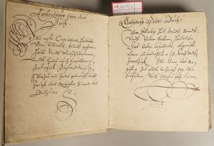 Los 1015 - Johann Egolff von Knöringen und Augsburg - Erbschaftsurkunde, das Stift zu Edelstetten betreffend. Deutsche Handschrift auf Pergament.  - 4 - thumb