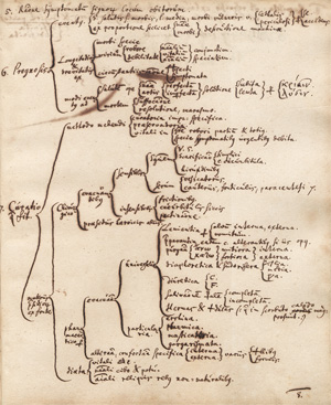 Lot 1016, Auction  128, Wedel, Georg Wolfgang, Collegium casuale practicum. Deutsche Handschrift auf Papier
