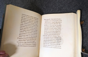 Los 1359 - Perikopenbuch Heinrichs II. - Faksimile mit Baseler Antependium. Coron 1995.  CLM 4452 der Bayerischen Staatsbibliothek München.  - 8 - thumb