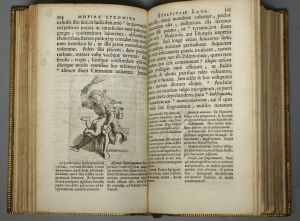 Los 2030 - Erasmus von Rotterdam, Desiderius - Morias Egkomion - 4 - thumb