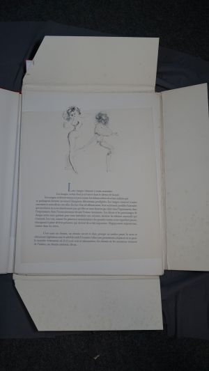 Los 3094 - Pineiro, Juan Bautista und Fini, Leonor - Livre d'images - 3 - thumb