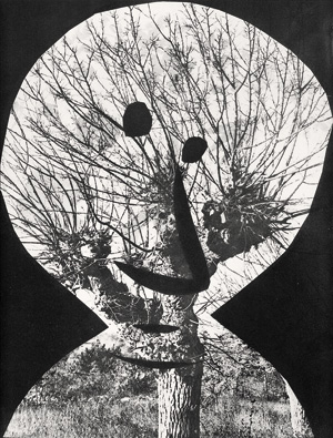 Los 3272 - Picasso, Pablo - Diurnes. Décupages et photographies - 2 - thumb
