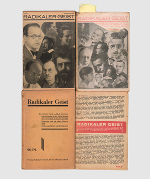 Lot 3287, Auction  128, Radikaler Geist, Querschnitte durch radikale Literatur