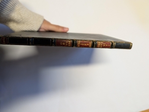 Los 3293 - Jacobsen, Jens Peter und Richter, Klaus - Illustr. - Die Pest von Bergamo - 9 - thumb
