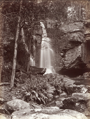 Lot 4010, Auction  128, Australia, Views of rain forests and waterfalls in Australia