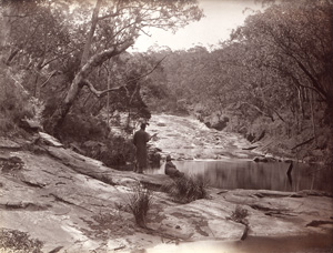 Los 4010 - Australia - Views of rain forests and waterfalls in Australia - 2 - thumb