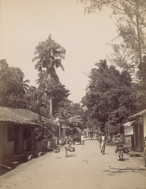 Los 4023 - Ceylon - Portraits and commercial “types” from Ceylon - 3 - thumb