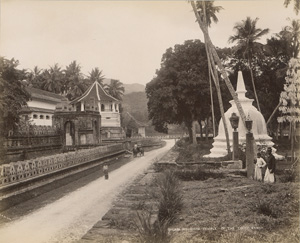 Los 4023 - Ceylon - Portraits and commercial “types” from Ceylon - 4 - thumb