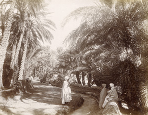 Los 4075 - North Africa - Views of Tunesia and Algeria - 2 - thumb