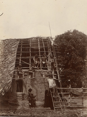 Lot 4097, Auction  128, Venezuela, Piaroa people thatching a roof, Orinoco River basin, Venezuela