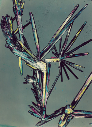 Lot 4118, Auction  128, Brill, Fritz, Organic salt structure; Synthetic penicillin (micro photographs)