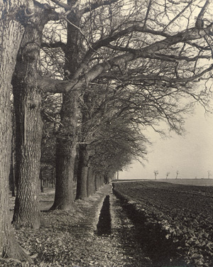 Lot 4195, Auction  128, Koch, Heinrich, Tree-lined country road